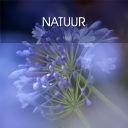 Natuur