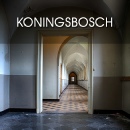 Koningsbosch