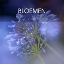 Bloemen