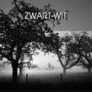 Zwart-wit